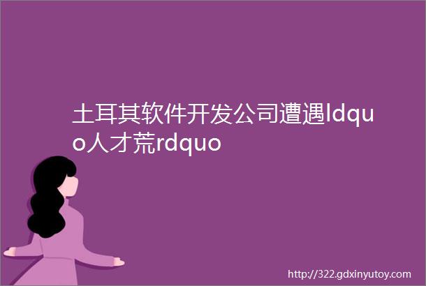 土耳其软件开发公司遭遇ldquo人才荒rdquo