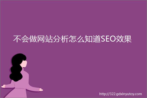 不会做网站分析怎么知道SEO效果