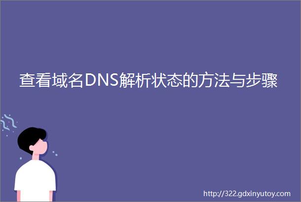 查看域名DNS解析状态的方法与步骤